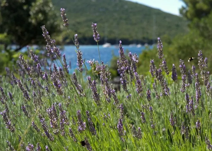 Secluded Fisherman's Cove Zincena, Pasman - 12982 Holiday home