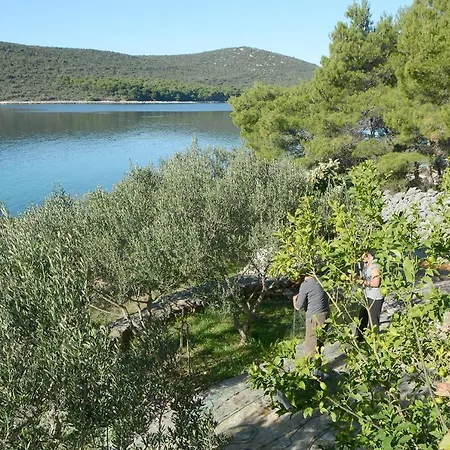 Secluded Fisherman's Cove Zincena, Pasman - 12982 Ferienhaus Tkon